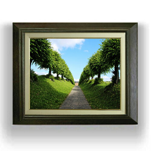 ������ ľɮ�ž夲�ۥ���å��륢�٥˥塼 F6������ ������ �ڥ����Х����������/������� ���� ���ʲ� ���ꥸ�ʥ륤��ƥꥢ���� ����� 556��465m...