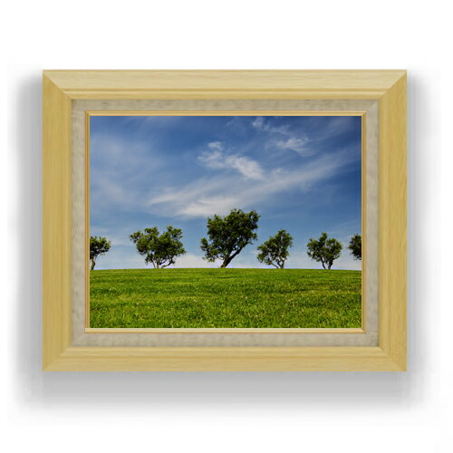 ������ ľɮ�ž夲�ۥ�륷�㥤������ڡ� F6������ ������ �ڥ����Х����������/������� ���� ���ʲ� ���ꥸ�ʥ륤��ƥꥢ���� ����� 556��465m...