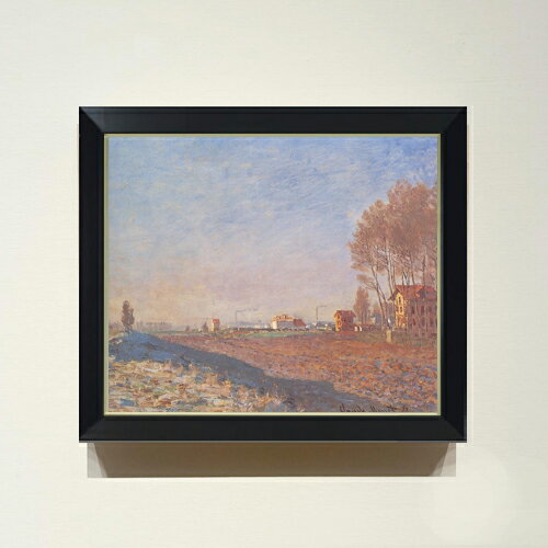 ������ ľɮ�ž夲�ۥ������ɡ���� ������֤�ʿ������ F8 �ڥ���ץ�ե졼��� ���� ���� 8�� ���� ���ʲ� 485��410mm ʣ���� ����̵�� �ץ쥼...