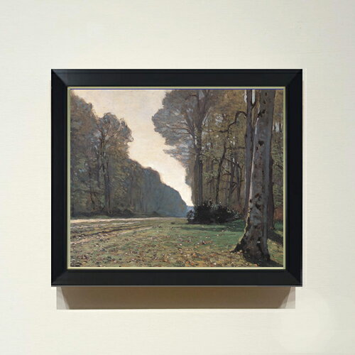 ������ ľɮ�ž夲�ۥ������ɡ���� ���㥤������ƻ F8 �ڥ���ץ�ե졼��� ���� ���� 8�� ���� ���ʲ� 485��410mm ʣ���� ����̵�� �ץ쥼���...