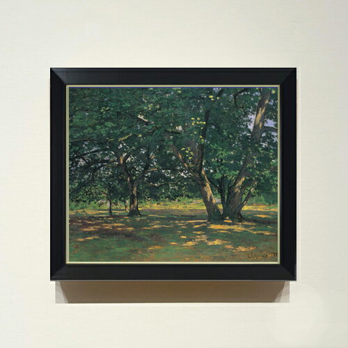 ������ ľɮ�ž夲�ۥ������ɡ���� �ե���ơ��̥֥����ο� F8 �ڥ���ץ�ե졼��� ���� ���� 8�� ���� ���ʲ� 485��410mm ʣ���� ����̵�� ��...