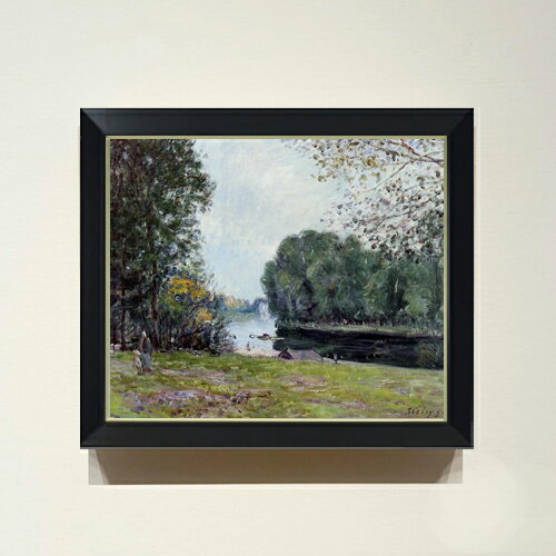 ������ ľɮ�ž夲�ۥ����졼 ���ޡ���С� F8 �ڥ���ץ�ե졼��� ���� ���� 8�� ���� ���ʲ� 485��410mm ʣ���� ����̵�� �ץ쥼��� ���ե�...