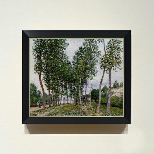 ������ ľɮ�ž夲�ۥ����졼 �ݥץ������ƻ F8 �ڥ���ץ�ե졼��� ���� ���� 8�� ���� ���ʲ� 485��410mm ʣ���� ����̵�� �ץ쥼��� ����...