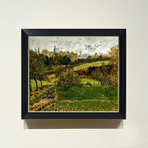 ������ ľɮ�ž夲�ۥ����졼 �롼��������̡��������� F8 �ڥ���ץ�ե졼��� ���� ���� 8�� ���� ���ʲ� 485��410mm ʣ���� ����̵�� �ץ쥼...