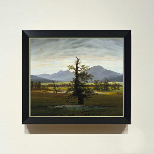 ������ ľɮ�ž夲�ۥե꡼�ɥ�� Solitary Tree F8 �ڥ���ץ�ե졼��� ���� ���� 8�� ���� ���ʲ� 485��410mm ʣ���� ����̵�� ...