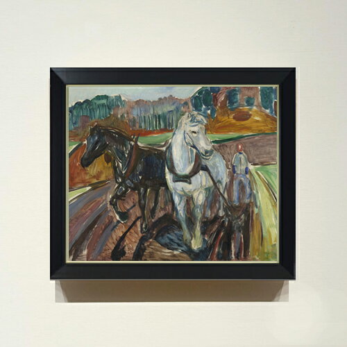 ������ ľɮ�ž夲�ۥ�� ���ι̺� F8 �ڥ���ץ�ե졼��� ���� ���� 8�� ���� ��ݲ� 485��410mm ʣ���� ����̵�� �ץ쥼��� ���ե� ��Ź...