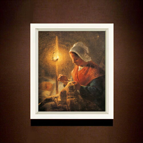 ������ ľɮ�ž夲�ۥߥ졼 ���פΤ�Ȥ�˥��ʪ�򤹤���� F8 �ڥ���ץ�ե졼��� ���� ���� 8�� ���� ���ʲ� 485��410mm ʣ���� ����̵�� ��...