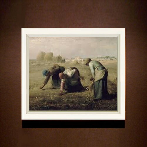 ������ ľɮ�ž夲�ۥߥ졼 ���潦�� F8 �ڥ���ץ�ե졼��� ���� ���� 8�� ���� ���ʲ� 485��410mm ʣ���� ����̵�� �ץ쥼��� ���ե� ��Ź...