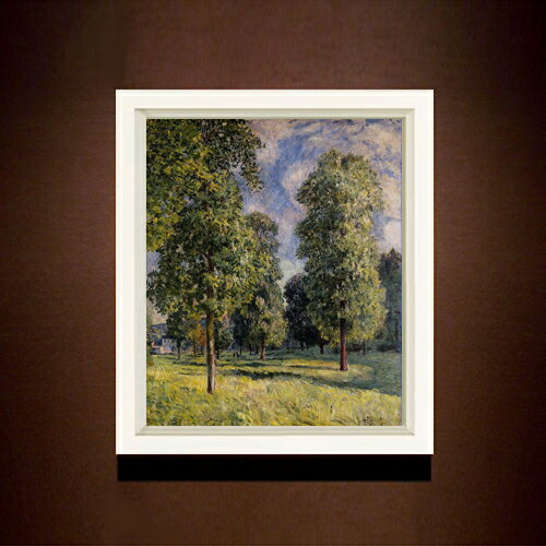 ������ ľɮ�ž夲�ۥ����졼 ������������� F8 �ڥ���ץ�ե졼��� ���� ���� 8�� ���� ���ʲ� 485��410mm ʣ���� ����̵�� �ץ쥼��� ����...