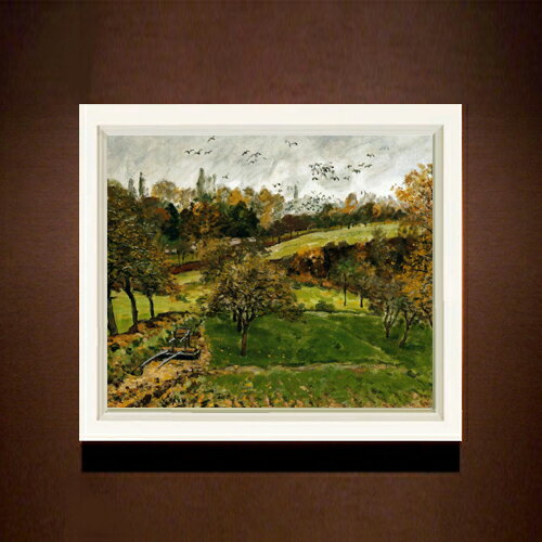 ������ ľɮ�ž夲�ۥ����졼 �롼��������̡��������� F8 �ڥ���ץ�ե졼��� ���� ���� 8�� ���� ���ʲ� 485��410mm ʣ���� ����̵�� �ץ쥼...