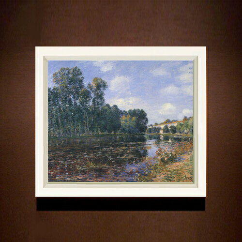 ������ ľɮ�ž夲�ۥ����졼 ���������� F8 �ڥ���ץ�ե졼��� ���� ���� 8�� ���� ���ʲ� 485��410mm ʣ���� ����̵�� �ץ쥼��� ����...