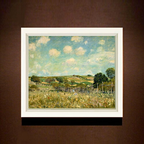 ������ ľɮ�ž夲�ۥ����졼 ������ F8 �ڥ���ץ�ե졼��� ���� ���� 8�� ���� ���ʲ� 485��410mm ʣ���� ����̵�� �ץ쥼��� ���ե� ��Ź...