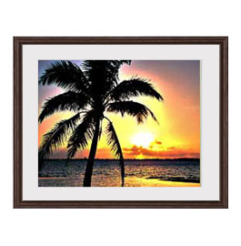 ������ ľɮ�ž夲�ۥ��󥻥åȥӡ��� �����ȥե졼�ࡧ���֥饦�� ������ ������M 521��428mm �ڷ��̥ե졼�ࡦ��ɽ���ݸ��ġ� ���� ���ʲ� ���ꥸ�ʥ�...