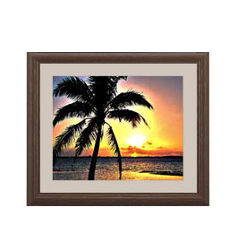 ������ ľɮ�ž夲�ۥ��󥻥åȥӡ��� �����ȥե졼�ࡧ���֥饦�� ������ ������S 321��271mm �ڷ��̥ե졼�ࡦ��ɽ���ݸ��ġ� ���� ���ʲ� ���ꥸ�ʥ�...