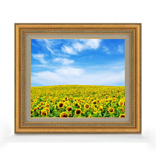 ������ ľɮ�ž夲�ۤҤޤ��Ȫ F8������ ������ �ڥ����Х����������/������� ���� ���ʲ� ���ꥸ�ʥ��������̥����� ����� 602��528mm ʣ����...