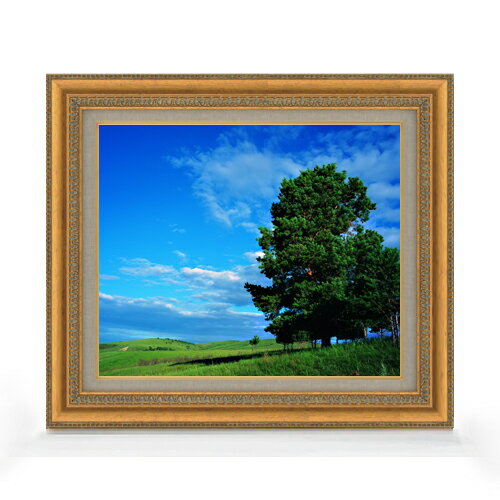 ������ ľɮ�ž夲�۶����ڤȱ� F8������ ������ �ڥ����Х����������/������� ���� ���ʲ� ���ꥸ�ʥ륤��ƥꥢ���� ����� 602��528mm ʣ����...