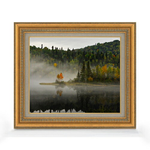 ������ ľɮ�ž夲�ۥ�������顼������ F8������ ������ �ڥ����Х����������/������� ���� ���ʲ� ���ꥸ�ʥ륤��ƥꥢ���� ����� 602��528mm...