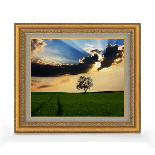 ������ ľɮ�ž夲�ۥҥ륰���ɤε� F8������ ������ �ڥ����Х����������/������� ���� ���ʲ� ���ꥸ�ʥ륤��ƥꥢ���� ����� 602��528mm ...