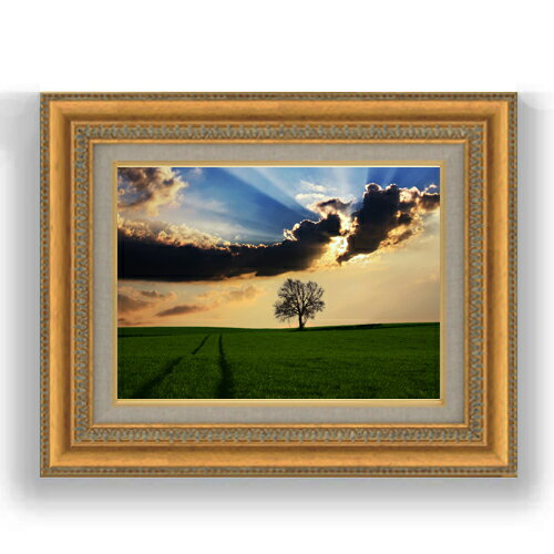 ������ ľɮ�ž夲�ۥҥ륰���ɤε� F4������ ������ �ڥ����Х����۱�� ���� ���ʲ� ���ꥸ�ʥ륤��ƥꥢ���� ����� 481��391mm ʣ���� ����...