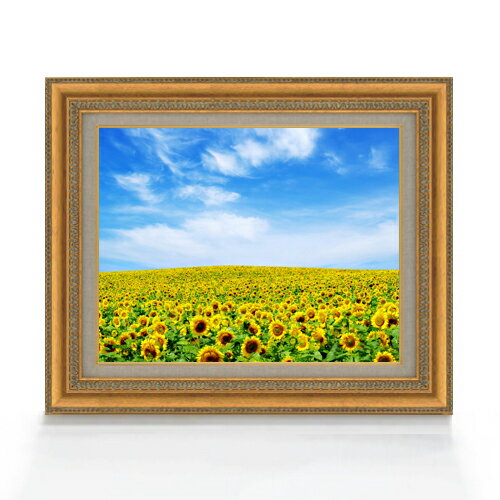 ������ ľɮ�ž夲�ۤҤޤ��Ȫ F6������ ������ �ڥ����Х����������/������� ���� ���ʲ� ���ꥸ�ʥ륤��ƥꥢ���� ����� 558��467mm ʣ����...