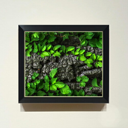 樂天商城 - 【油絵 直筆仕上げ】緑の息吹き F8サイズ 額入り 【アップグレードフレーム】 油彩 風景画 オリジナルインテリア絵画 風水画 489×414mm 複製画 送料無料 プレゼント ギフト 開店祝い 開業祝い 退職祝い 新築祝い リビング 玄関 モダン アートフレーム 壁掛け