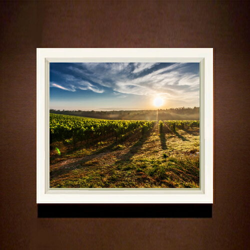【油絵 直筆仕上げ】ブドウ園 F8サイズ 額入り 【アップグレードフレーム】 油彩 風景画 オリジナルインテリア絵画 風水画 489×414mm 複製画 送料無料 プレゼント ギフト 開店祝い 開業祝い 退職祝い 新築祝い リビング 玄関 モダン アートフレーム 壁掛け