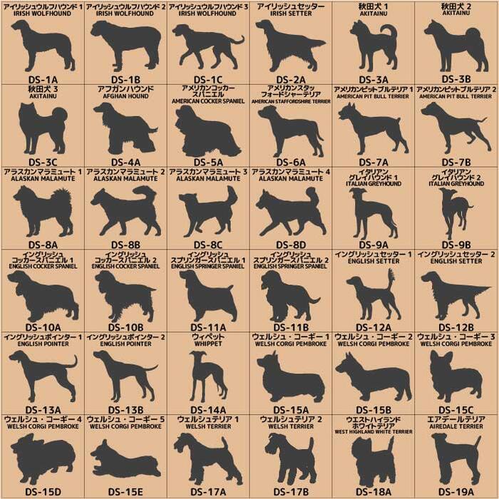 �� ���ƥå��� 121���� ��L�������� �� ���ƥå��� �� ���� ���ƥå��� ���� �ɥ� �ݥ��� ɽ�� ���󥿡��ۥ� �����ƥå��� ���ꥸ�ʥ� �������ƥ� �������� ���襤�� ���Ф����� ���ä����� ������� ���륨�å� ������ �ɥå����󥫡� �Ը�����