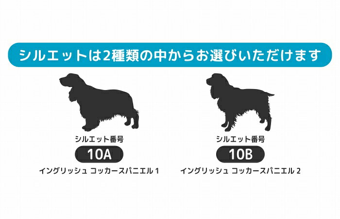 イングリッシュコッカースパニエル ステッカー サーフィン【Mサイズ】 犬 ステッカ...
