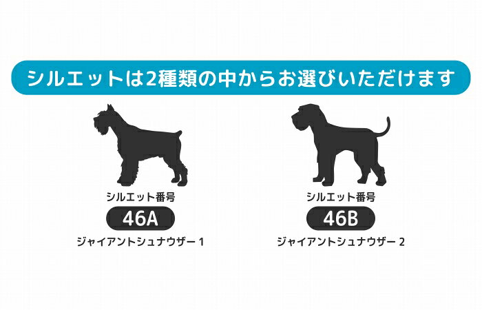 ジャイアントシュナウザー 犬 ステッカー サーフィン【Mサイズ】ペット 車 カース...