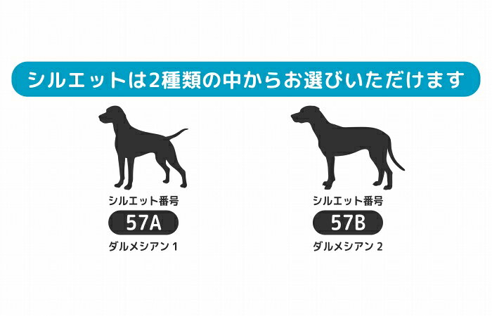 ダルメシアン 犬 ステッカー サーフィン【Mサイズ】 犬 ステッカー 車 ダルメシア...