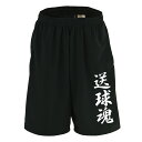 \10%OFFクーポン/ ハンドボール ハーフパンツ ドライ メンズ ウェア レディース ジュニア 練習着 短パン 速乾 スポーツ 名入れ おしゃれ 半スボン ...