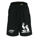 \10%OFFクーポン/ ハンドボール ハーフパンツ ドライ メンズ レディース ジュニア 練習着 短パン 速乾 スポーツ 名入れ チーム 半スボン 文字入れ無...