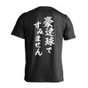 ＼10%OFFクーポン／ 野球 Tシャツ 半袖 メンズ レディース ジュニア 練習着 ドライ おもしろ tシャツ ふざけ 名入れ 文字入れ無料 「豪..