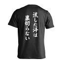 \セール特価/ バドミントン Tシャツ 半袖 メンズ レディース ジュニア 練習着 ドライ おもしろ tシャツ 速乾 スポーツ ウェア 名入れ 女子 男子 チー...