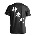 スポーツウェア フィットネス 運動 Tシャツ 半袖 メンズ レディース ジュニア 練習着 ドライ おもしろ tシャツ 速乾 スポーツ 名入れ 女子 男子 チーム...