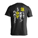 スポーツウェア フィットネス 運動 Tシャツ 半袖 メンズ レディース ジュニア 練習着 ドライ おもしろ tシャツ 速乾 スポーツ 名入れ 女子 男子 チーム...
