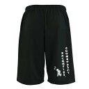 \10%OFFクーポン/ テニス ハーフパンツ ドライ メンズ レディース ジュニア 練習着 短パン 速乾 スポーツ 名入れ おしゃれ 半スボン 文字入れ無料 ...