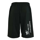 \10%OFFクーポン/ ソフトボール ハーフパンツ ドライ メンズ レディース ジュニア 練習着 短パン 速乾 スポーツ 名入れ おしゃれ 半スボン 文字入れ...