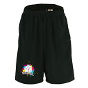 \10%OFFクーポン/ バレーボール ハーフパンツ ドライ メンズ ウェア レディース ジュニア 練習着 短パン 速乾 スポーツ 名入れ おしゃれ 半スボン ...