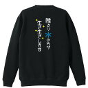 \10%OFFクーポン/ 水泳 競泳 トレーナー スウェット メンズ レディース ジュニア 裏パイル 練習着 おもしろ 名入れ おしゃれ 文字入れ無料 綿100...