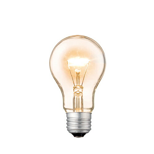 【アートワークスタジオ公式】ARTWORKSTUDIO 電球 BU-1027 E26/100W ハウス電球 クリア 電球色 ライト 照明 1