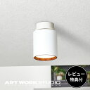  r[Tt  A[g[NX^WI  ARTWORKSTUDIO V[OCg V[Ov AW-0612E Grid PLUS-ceiling down light ObhvXV[O ECg LED 100WLED  F2iKؑ |V[Ot   