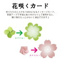 色紙 寄せ書き 大人数 かわいい おもしろ 御歳暮 お歳暮 ※ シール フレーム 額縁 50枚 ではありません。ありがとう よつば 四つ葉 花咲く色紙2拡張カー...