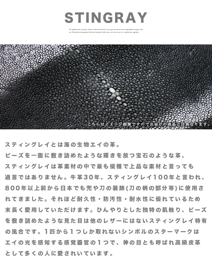 革販売 スティングレイ ポリッシュレッド 赤色 9インチ 銀擦り / A / ロング ガル...