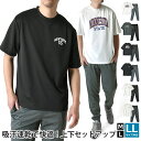 上下セット ドライ メンズ 吸汗速乾 半袖Tシャツ ジョガーパンツ 軽量 セットアップ ルームウエア パジャマ【B3T】【送料無料】【ゆうパケット】【mens】