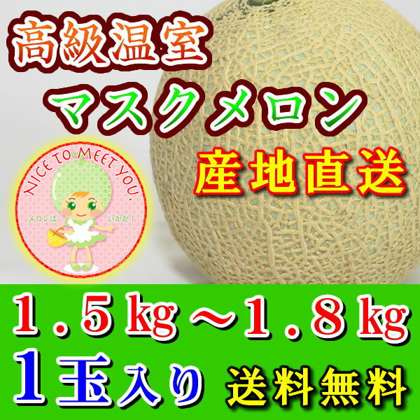 【送料無料／産地直送】果肉がギュ！ 愛知県渥美産 温室メロン 渥美メロン 1.5〜1.8kg 1玉【お中元 御..