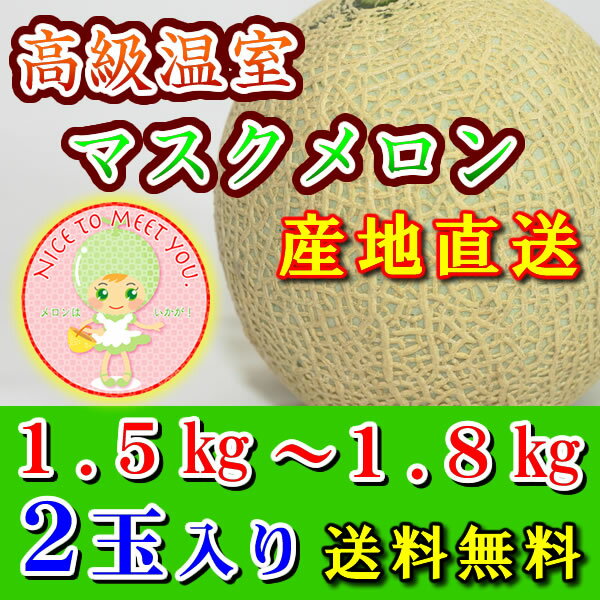 【送料無料／産地直送】果肉がギュ 愛知県渥美産 温室メロン 渥美メロン 1.5〜1.8kg 2玉【お中元 御中元 贈り物 贈答 果物 愛知県 渥美 田原 通販 アールス マスク メロン】【楽ギフ_のし】【…