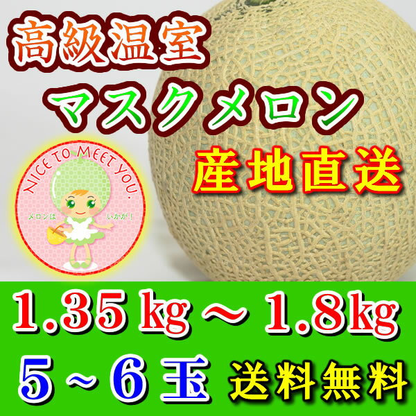 【送料無料／産地直送】果肉がギュ！ 愛知県渥美産 温室メロン 渥美メロン　1.35〜1.8kg 5玉〜6玉【お..