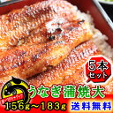 【おまけがもらえるキャンペーン実施中!】★白焼きも選択可!美容と健康に最適!【父の日 母の日 敬老の日】【楽ギフ_のし】【楽ギフ_のし宛書】【愛知県産】 送料無料 国産特大うなぎ蒲焼 約180g×5本 【鰻 うなぎ ウナギ 蒲焼き 白焼き ひつまぶし 土用の丑の日 国産 国内産 愛知県産 三河一色産 豊橋うなぎ 名古屋めし お中元 お歳暮 ギフト 楽天市場】【楽ギフ_包装】