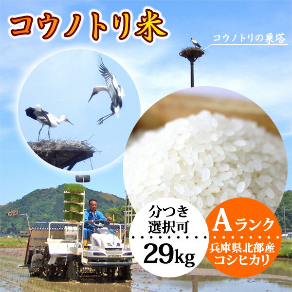 こうのとり米（29kg）コウノトリ育む農法 令和5年産 兵庫県産 コシヒカリ【当日精米】 送料無料